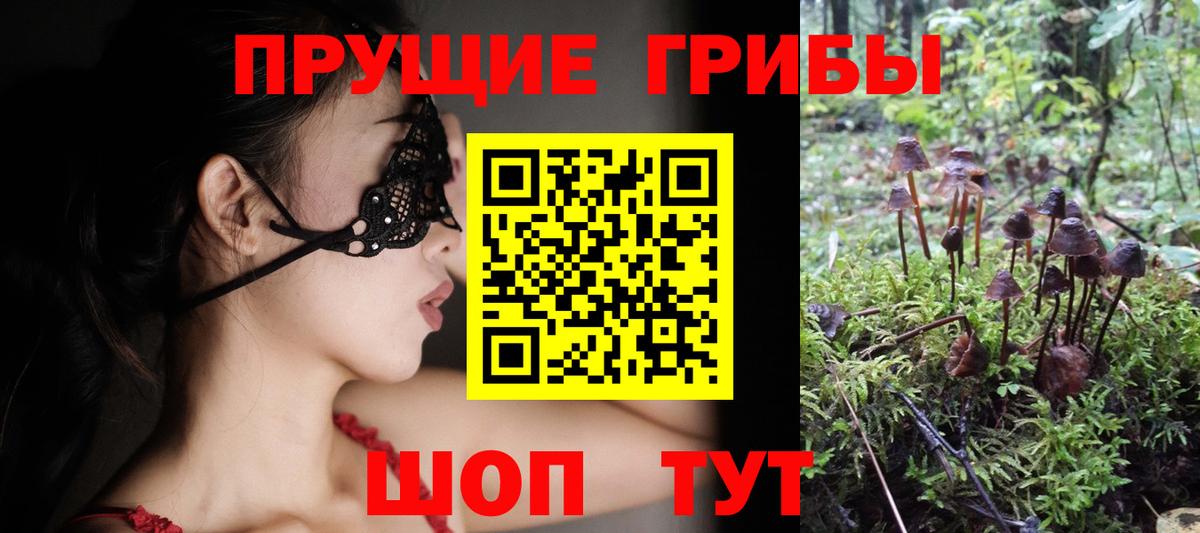 Псилоцибиновые грибы мухоморы Россия