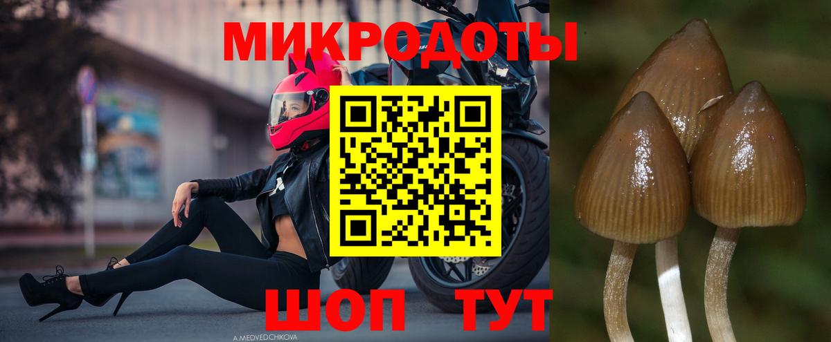 Псилоцибиновые грибы мухоморы  Вход с VPN  Псилоцибиновые грибы MAGIC MUSHROOMS  Россия 